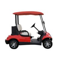 2 Seater Golf Cart - Gallery 5