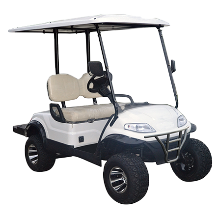 2 Seater High Suspension Golf Cart