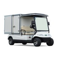 2 Seater Housekeeping Golf Cart - Gallery 1