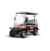 2+2 Seater High Suspension Golf Cart - Gallery 2
