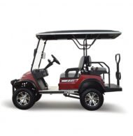 2+2 Seater High Suspension Golf Cart - Gallery 3