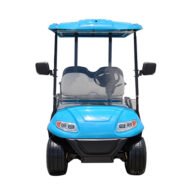 2+2 Seater Passenger Golf Cart - Gallery 1