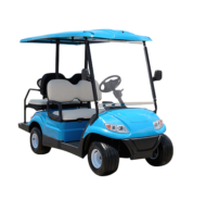 2+2 Seater Passenger Golf Cart