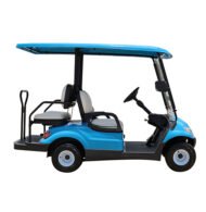 2+2 Seater Passenger Golf Cart - Gallery 2