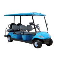 4+2 Seater Passenger Golf Cart